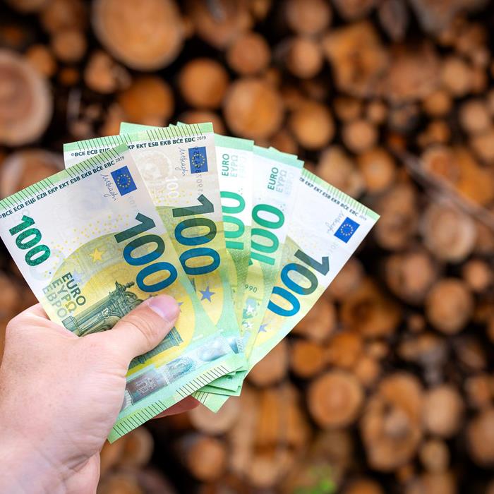 Hoeveel kost een biomassa-verwarmingsketel?