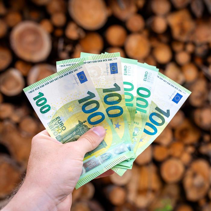 Quel est le coût d'une chaudière biomasse?